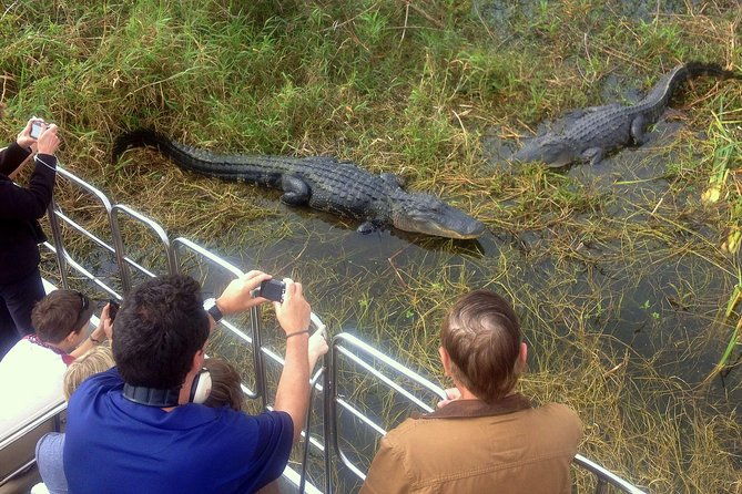 florida-everglades-airboat-tour-and-wild-florida-admission-with-optional-lunch