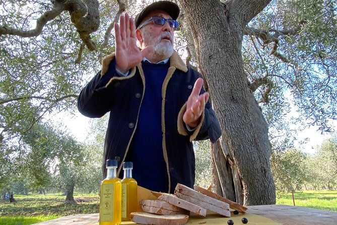 food-and-wine-tour-between-the-patriarchs-olives-and-the-oil-temples