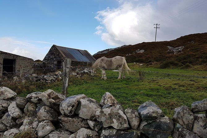 from-galway-guided-tour-of-connemara-with-3-hour-stop-at-connemara-national-pk