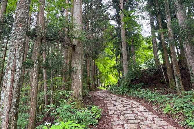 from-nagoya-nakasendo-trail-with-cultural-experience-transport