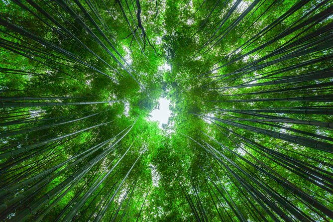from-osaka-or-kyoto-full-day-sightseeing-tour-of-kyoto