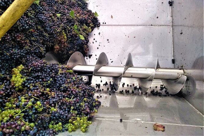 from-padua-olive-oil-wine-in-the-euganean-hills