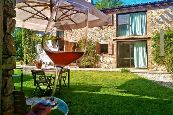 from-padua-wine-tour-in-the-euganean-hills