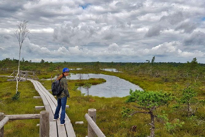 from-riga-best-of-kemeri-national-park-in-one-day