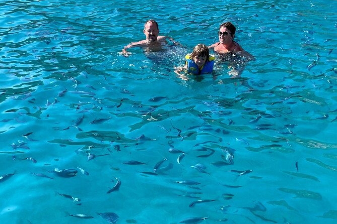 from-sagone-cargese-scandola-girolata-calanques-piana-snorkeling