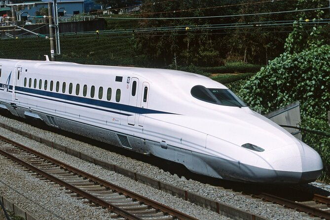 from-tokyo-1-day-kyoto-english-guided-tour-by-bullet-train