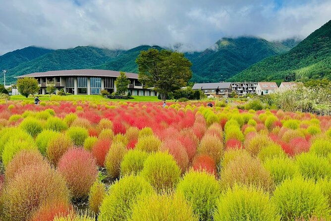 from-tokyo-mount-fuji-full-day-private-tour-with-english-guide