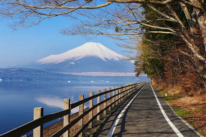from-tokyo-mount-fuji-highlights-tour-with-kawaguchi-lake-cruise