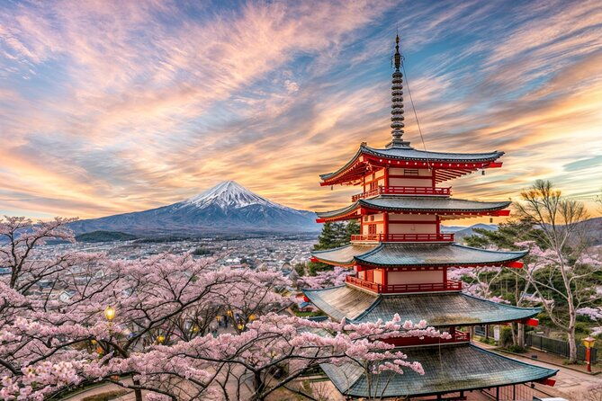 from-tokyo-mt-fuji-and-hakone-private-day-trip