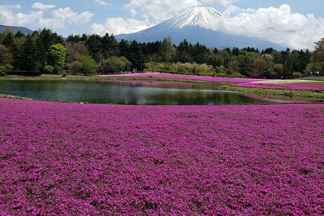 from-tokyo-mt-fuji-pvt-1-day-customized-tour-with-english-driver