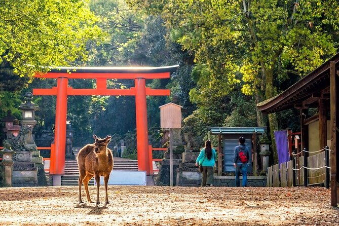 from-tokyo-to-kyoto-and-nara-a-captivating-full-day-private-tour