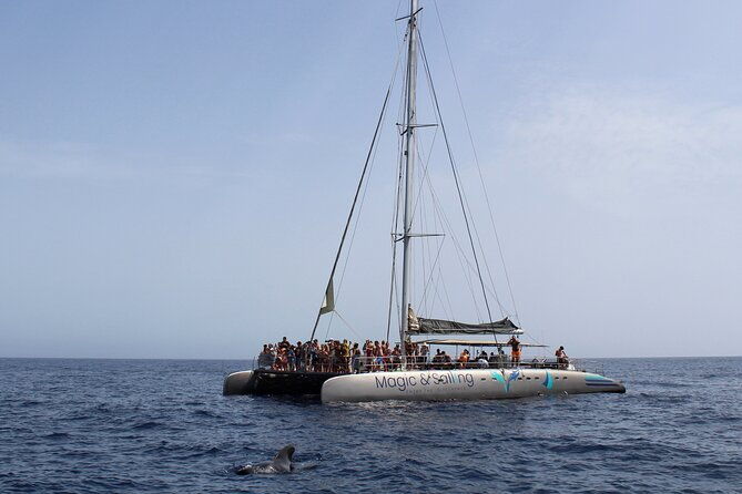 fuerteventura-magic-select-catamaran-trip-with-food-drinks
