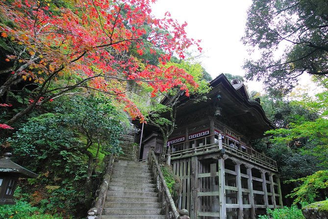 fukui-private-full-day-photoshoot-by-professional-photographer