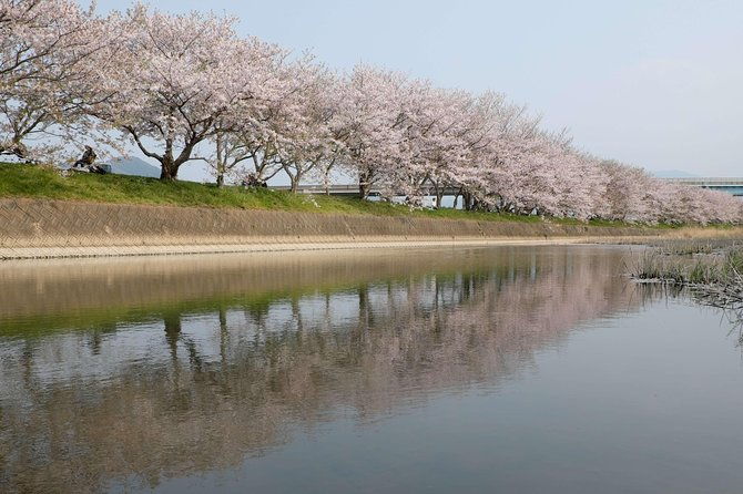 fukuoka-private-customizable-half-day-tour