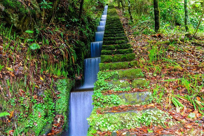 full-day-east-of-madeira-tour