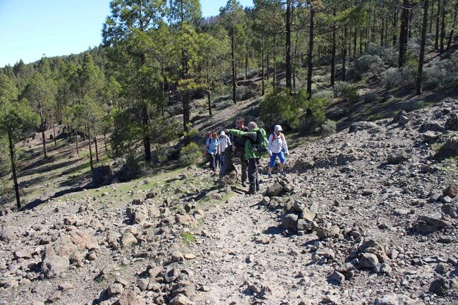 full-day-hiking-gran-canaria-peaks-of-gran-canaria