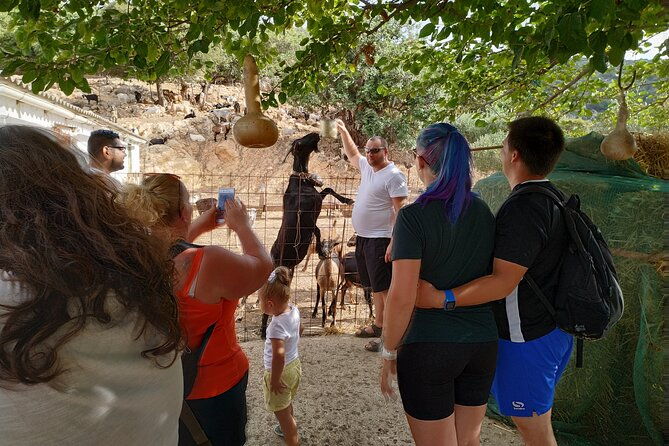 full-day-jeep-safari-tour-with-cooking-lesson
