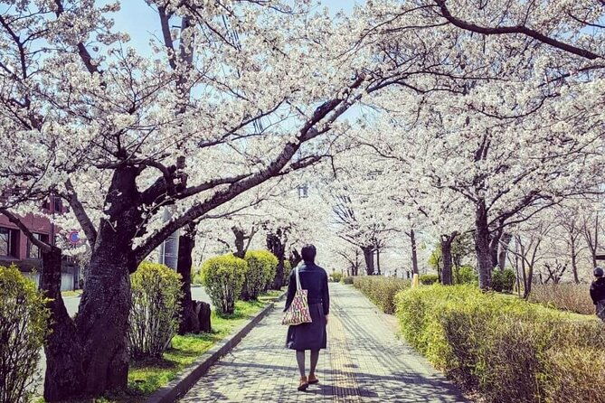 full-day-private-nikko-tour-from-tokyo-wd-english-speaking-driver