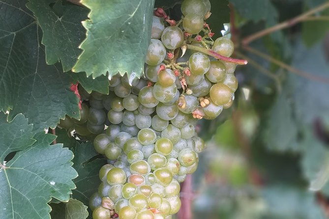 full-day-private-prosecco-tour-with-certified-sommelier