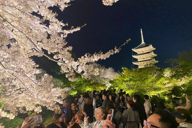 full-day-private-tour-in-kyoto-with-pickup