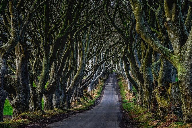 full-day-private-tour-of-giants-causeway-with-pick-up
