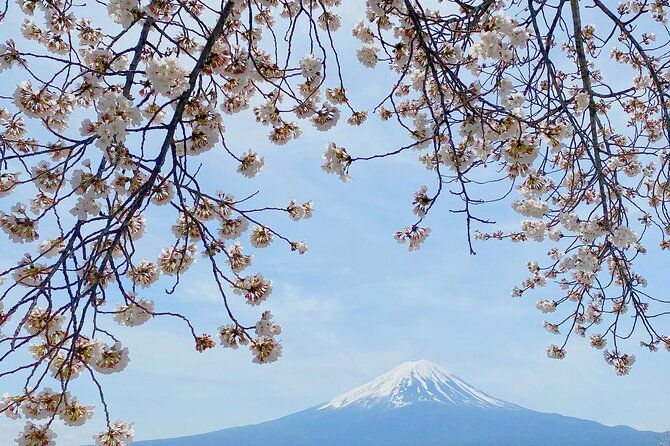 full-day-private-tour-to-mt-fuji-by-luxury-vehicle