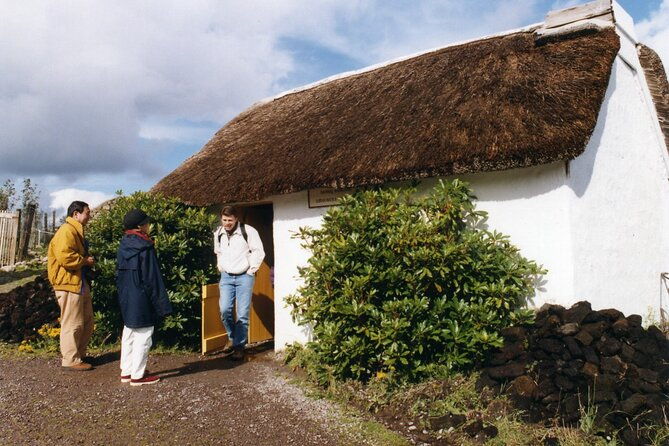 full-day-ring-of-kerry-tour-from-killarney