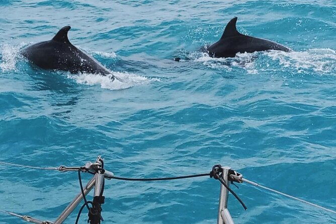 full-day-sailing-tour-catania-acitrezza