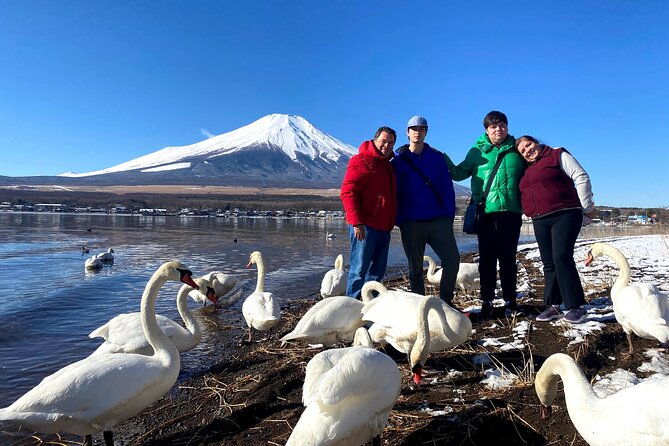 full-day-tour-to-mount-fuji-in-spanish