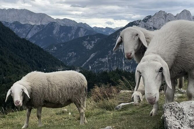 full-day-triglav-national-park-tour-from-ljubljana