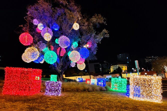 funchal-christmas-lights-sightseeing-night-tour