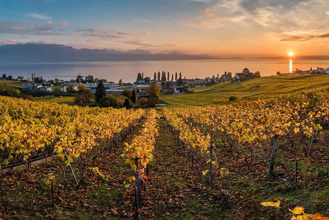 geneva-to-lausanne-montreux-and-chateau-chillon-private-tour