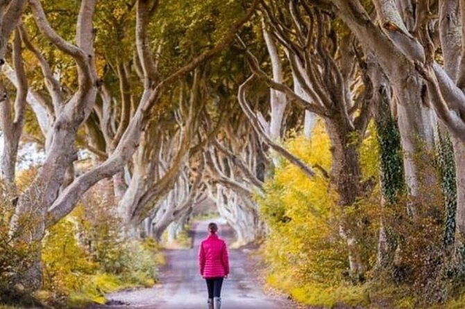 giants-causeway-and-belfast-2-days-with-private-chauffeur-tour