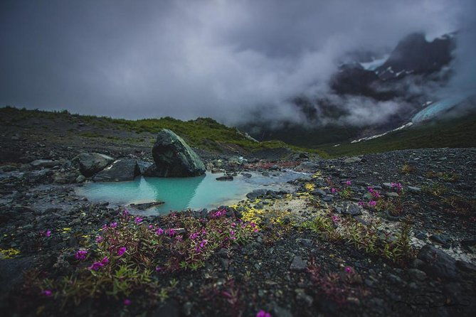 glacier-and-mountain-viewing-tour