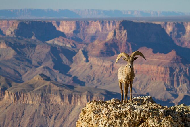 grand-canyon-south-east-rim-self-driving-walking-shuttling-tour