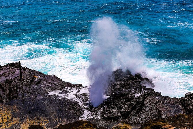 grand-circle-island-and-haleiwa-9-hour-tour