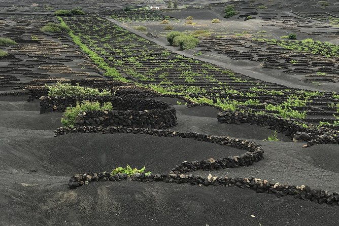grand-tour-lanzarote-experience-the-footprint-of-the-landscape
