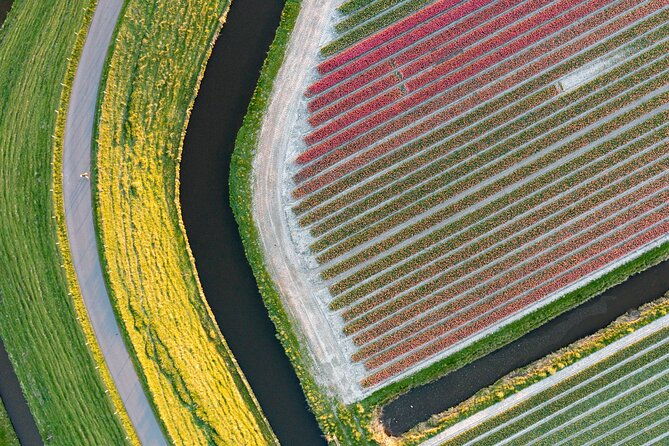 guided-bike-tour-along-the-dutch-tulip-fields-in-noord-holland