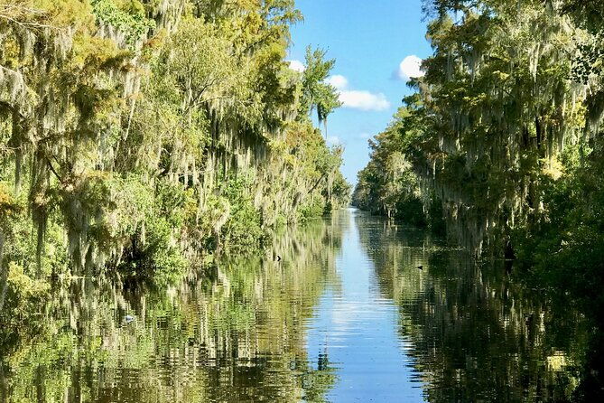 guided-boat-tour-of-new-orleans-bayou-and-wildlife