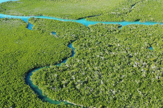 guided-clear-kayak-eco-tour-near-key-west