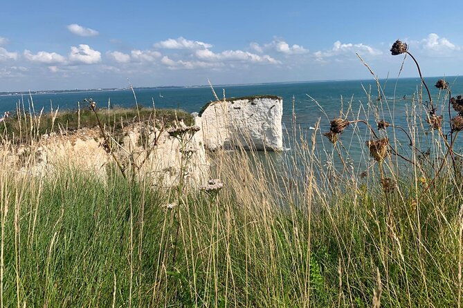 guided-e-bike-day-trips-dorset