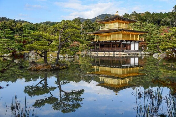 guided-kyoto-city-cherry-blossom-one-day-private-tour