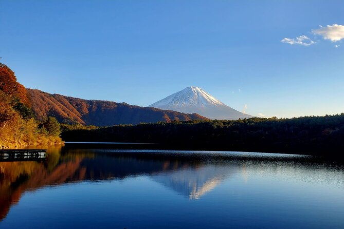 guided-shimizu-port-to-mt-fuji-private-tour-green-number-plates