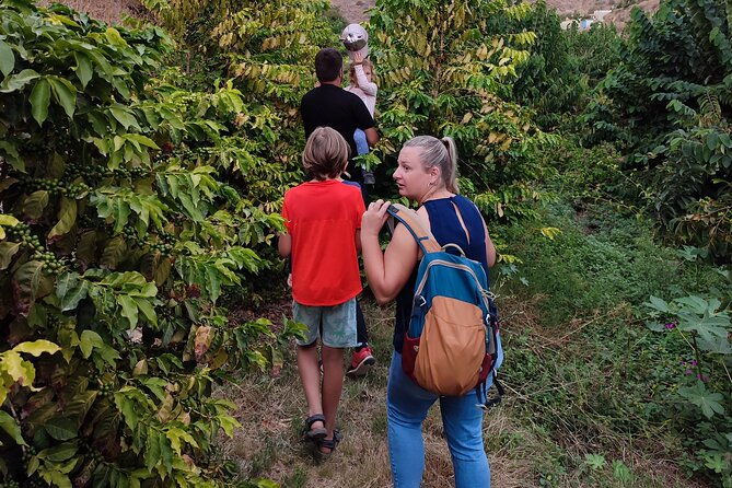 guided-tour-to-the-only-coffee-farm-in-europe