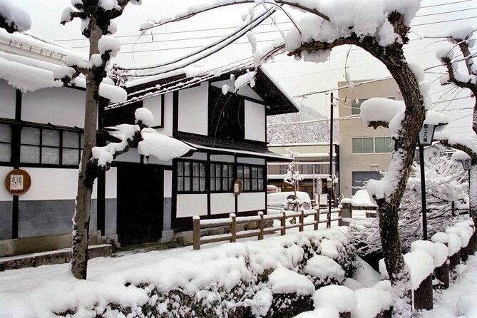 gujo-hida-takayama-and-shirakawa-go-day-tour-from-nagoya
