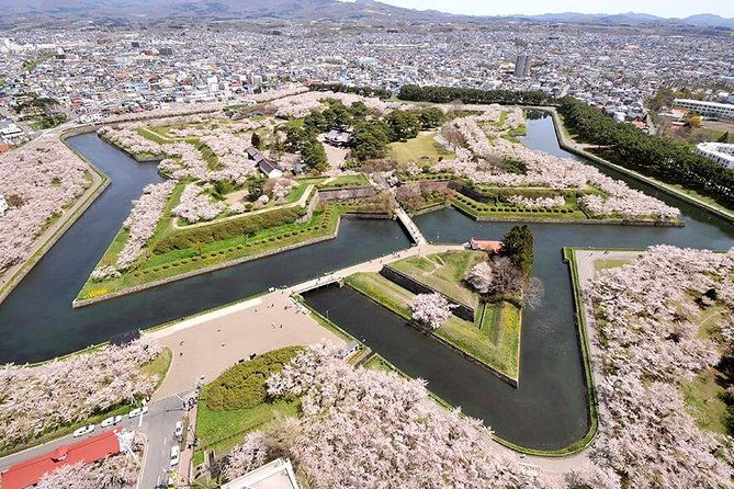 hakodate-6hr-private-tour-with-government-licensed-guide