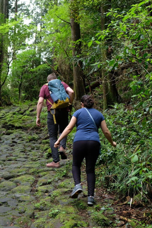 hakone-hachiri-old-tokaido-highway-hiking-half-day-tour