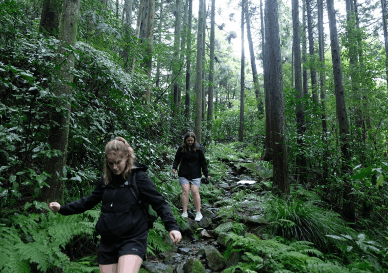 hakone-hachiri-old-tokaido-highway-hiking-tour