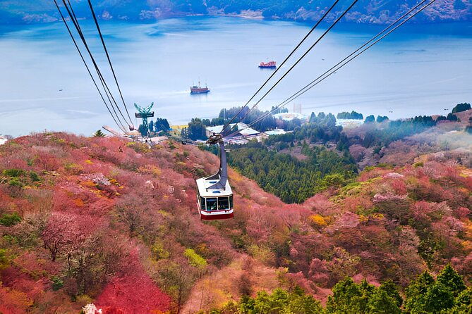 hakone-sightseeing-private-tour-from-tokyo