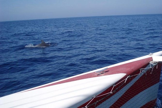 half-day-catamaran-trip-in-menorca